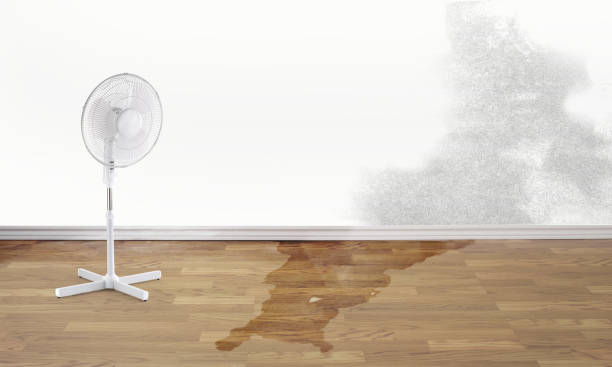 Best Residential water damage restoration  in Bishopville, SC