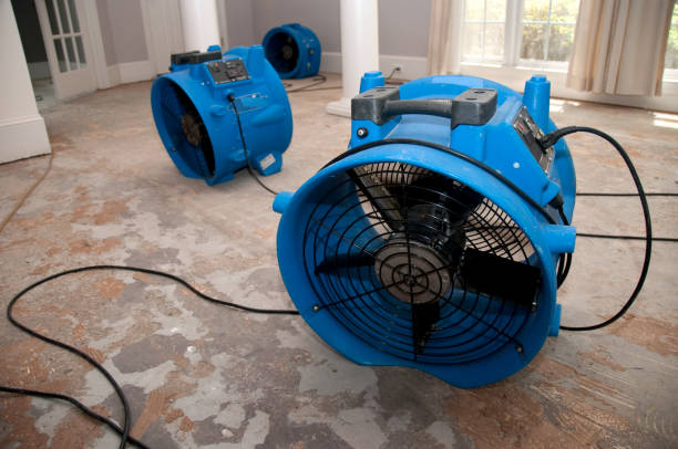 Best Water damage contractors near me  in Bishopville, SC