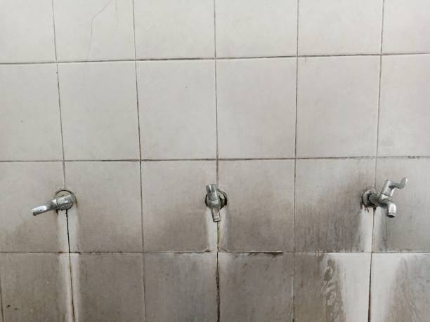Best Ceiling water damage repair  in Bishopville, SC