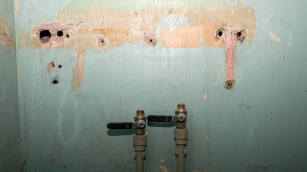 Best Mold removal after water damage  in Bishopville, SC